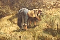 I Macchiaioli_074